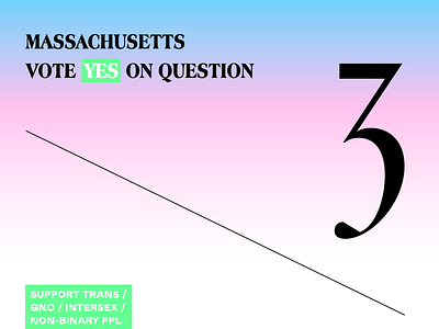 ###YES ###ON ###3 basic rights human rights massachusetts political politics show up speak out support trans trans rights transgender type typography usa