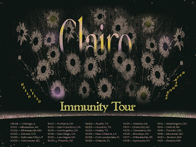 Clairo x Tour brand branding calendar concert design flowers identity illustration logo music pattern poster show tour type typography