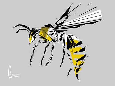 Wasp