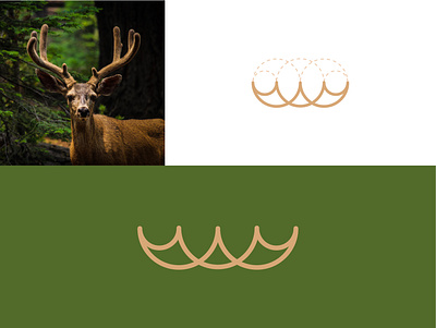 Deer antlers abstract animal animal logo construction creative guidelines lines logo logotype mark minimal minimalist simple symbol