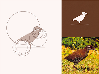 Guam rail concept abstract animal animal logo bird bird logo circles construction creative guidelines logo logodesign mark minimal simple symbol