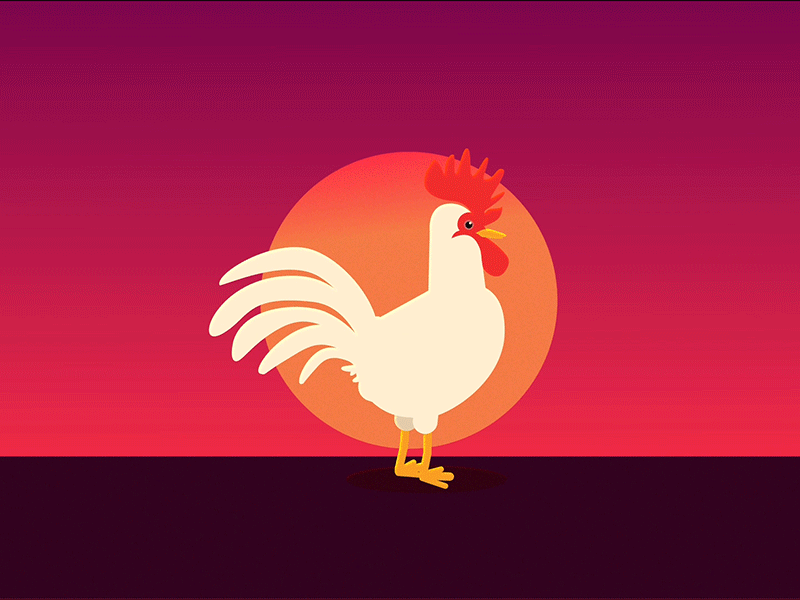 GALLITO 2 d animation illustration rooster