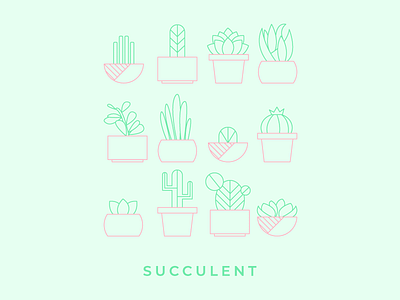 Succs to succ color green icons illustration illustrator pink plants succulents