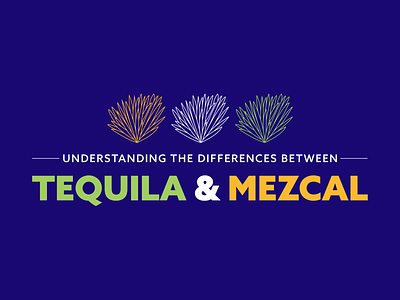 Tequila VS Mezcal agave alcohol booze cocktail illustration infographic line art mezcal tequila vinepair