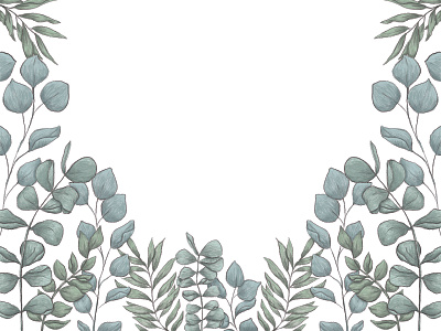 Eucalyptus Illustration design digital illustration drawing eucalyptus floral illustration illustrator photoshop wedding wedding invitation