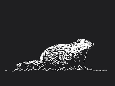 Groundhogs + Bike Shops = Springtime animals groundhog illustration tshirt
