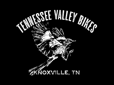 Tennessee's Bird is the Mockingbird bikes bird knoxville mockingbird tennessee