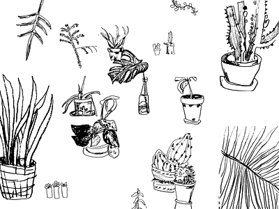 Plant Lady is the New Cat Lady black and white illustration plants sketch
