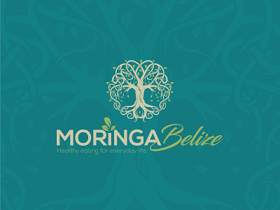 Moringa Belize illustration logo logodesigner tree of life vector