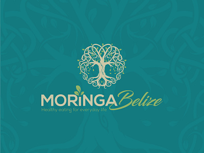 Moringa Belize