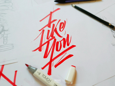 I Like You brand branding calligraphy design handmade handmadefont instagram lettering logo penbrush sketch typography