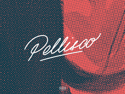 Pellisco Brand brand branding calligraphy color design lettering logo typography