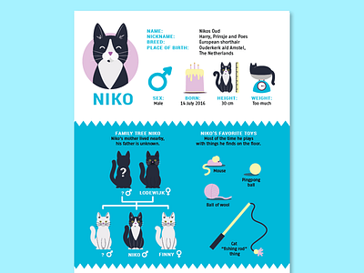 Nikos Infographic cat drawing illustration infographic kitten nikos toys