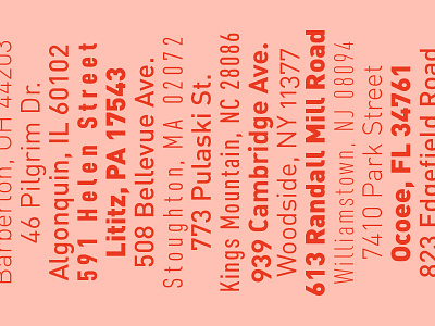 type specimen din pink type typography