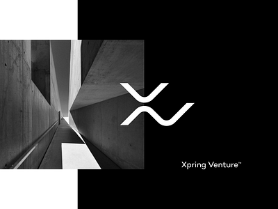 XV app branding icon identity illustration logo ui website