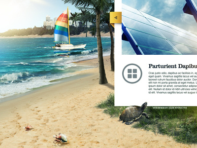 Florida Solar Panels beach crab fresh layout ocean palm tree sea shore solar sun turtle ui website