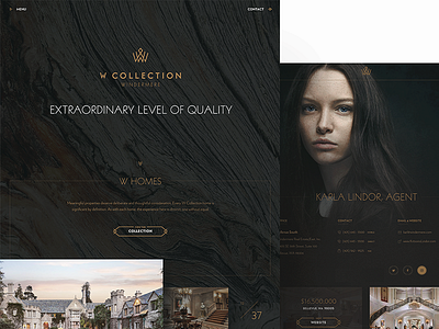 w collection crown hero landing page real estate site slider texture website wood