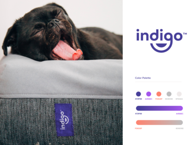 Indigo - Branding