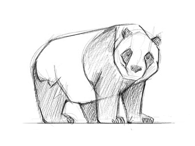Panda sketch apple bamboo drawing illustration ipad pencil sketch