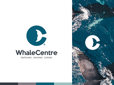 WhaleCentre app branding design drawing icon identity logo ocean whale