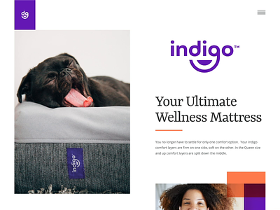 Indigo - Landing Page branding dog identiy indigo landing logo page puppy site sleep website