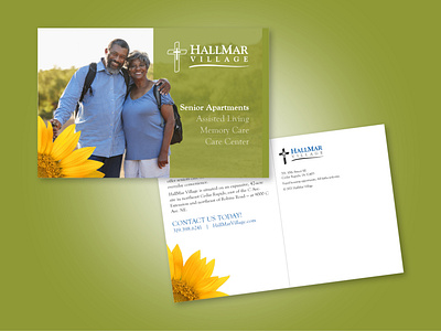 HallMar Village Direct Mail Postcard - Senior Apartments branding design