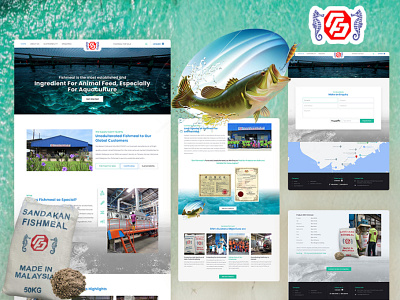 Fish Meal Manufacturing Business Website Design branding design fish meal fish meal manufacturing fixwordpress graphic design ui ux web design web developer websitedesign2020 woocommercewebsite