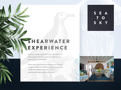 Shearwater UI Board bird hawaii modular ocean styleboard ui
