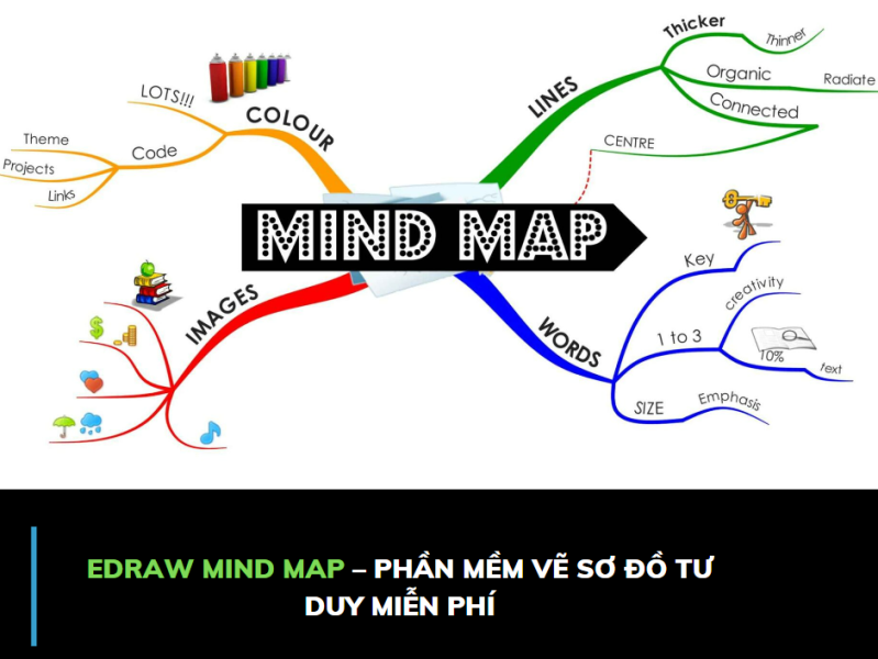 Dribbble - edraw-mind-map.png by Phamemfree