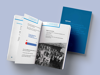 UNDP report diaspora's graphicdesign
