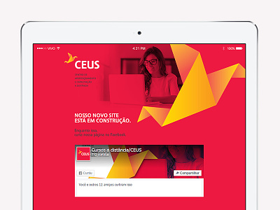 CEUS / Hotsite ceus hotsite origami red site waiting site webdesign website yellow