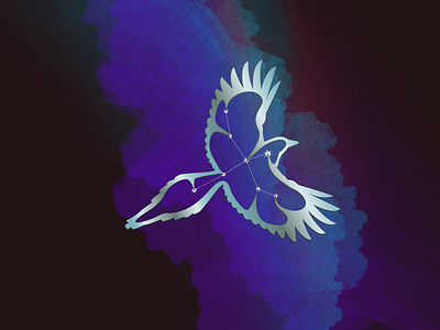 Celestial Magpie affinity designer astronomy graphic design illustration milky way mythology vector