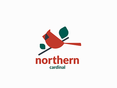 northern cardinal