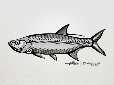 Tarpon Fish Lineart