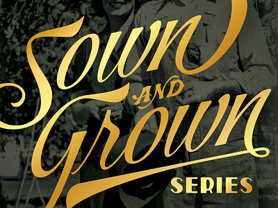 Sown & Grown - Bale Breaker beer brewery can craft beer gold grown homegrown ipa package design packaging sown typography vintage