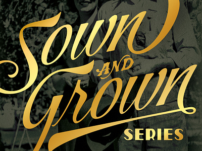 Sown & Grown - Bale Breaker beer brewery can craft beer gold grown homegrown ipa package design packaging sown typography vintage