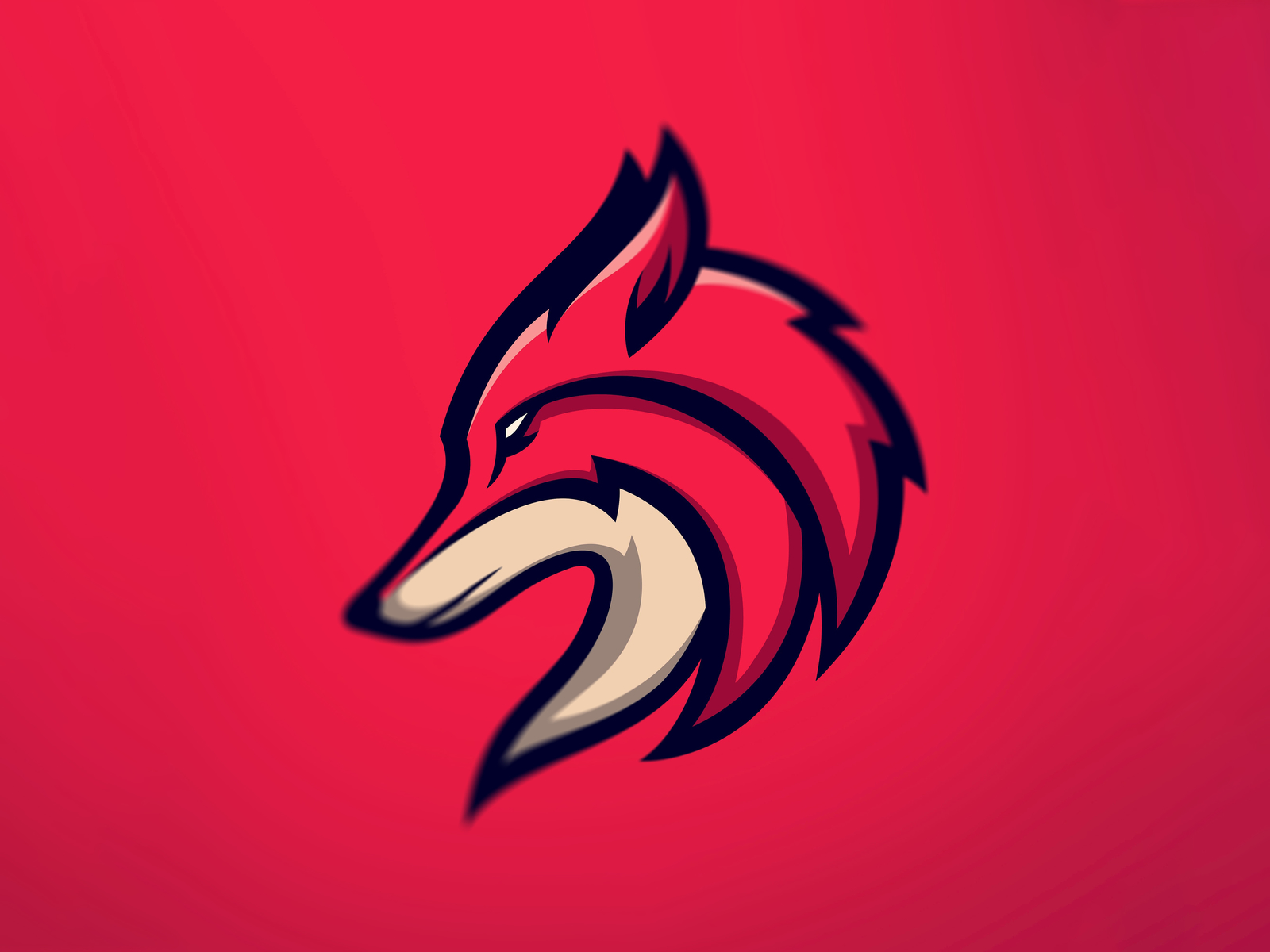 Red Fox by hooman khaj on Dribbble