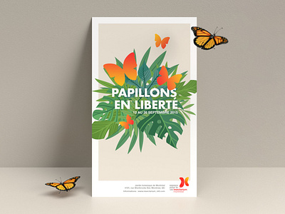 Papillons en liberté