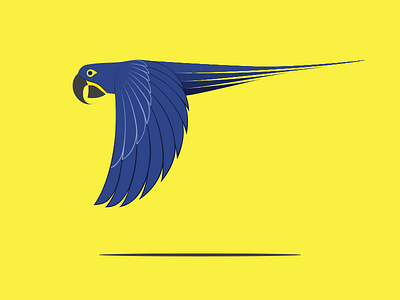 Ara bird blue drawing eye fly illustration illustrator shades shadow wing yellow