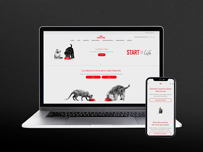 Royal Canin app design graphic design typography ui ux