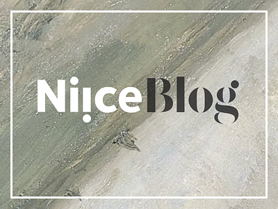 Niice Blog
