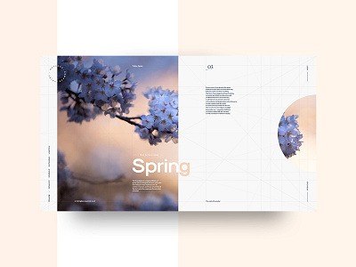 Spring colors concept flowers grids interaction japan landing layout seasons spring template ui