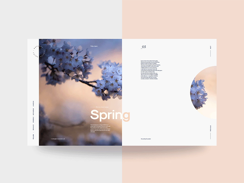 Seasons animation clean creative design graphic grid landing landscapes motion style transition typography ui ux web