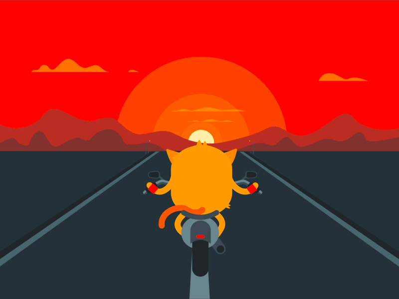 Podo Rides Motorcycle cat gif highway motorcycle podo ride road road animation sunset