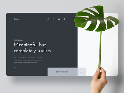 Homepage Concept homepage landing page minimalism minimalist plant webdesign website