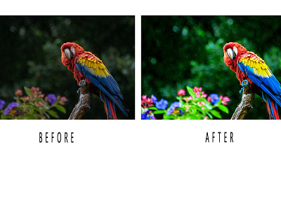 BEFORE AFTER P.4 app design graphic design illustration photoshop