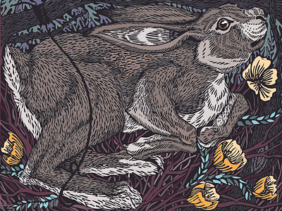 The Hare In The Snare