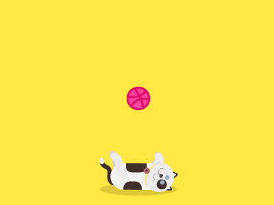 Hello Dribbble! after effects animation cat first shot gif new player