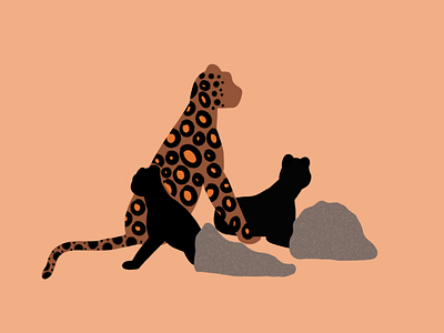 Leopard animal animals cat cheetah colors design draw illustration leopard procreate procreateapp sketch vector wild cat