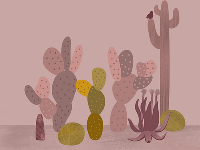 Desert cacti cactus colors desert design draw illustration ipad nature procreate procreateapp sketch vector